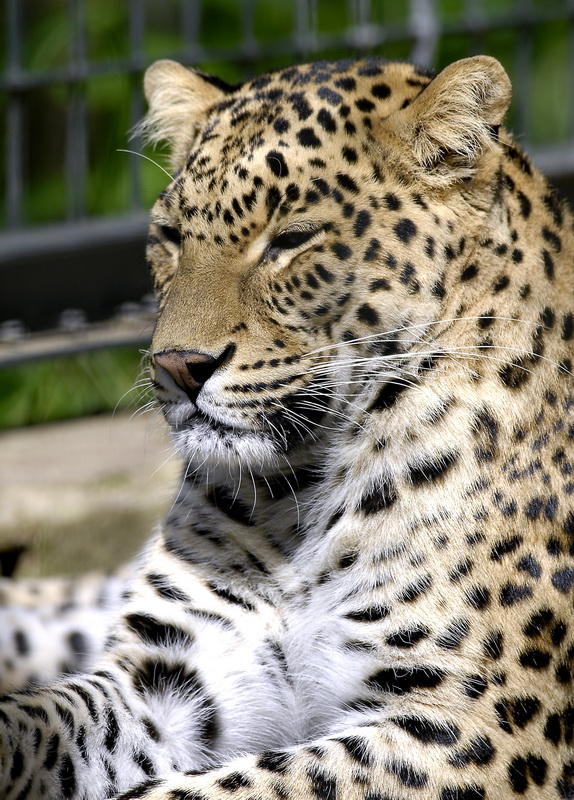 Zoo Wuppertal Tiere_DDB3294.jpg - Zoo Wuppertal